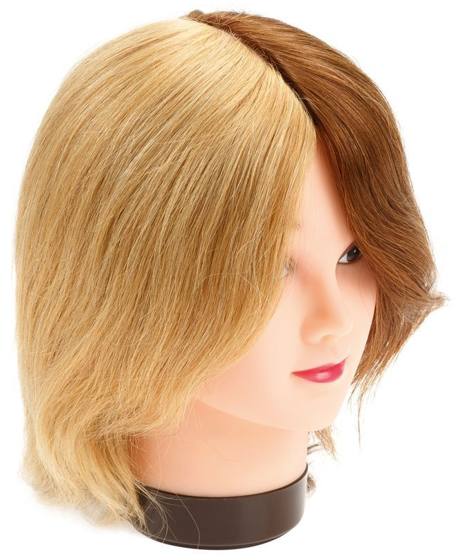 Голова-манекен учебная DEWAL "4 цвета" для парикмахеров, натуральные волосы 20-25 см M-8000AD  #1