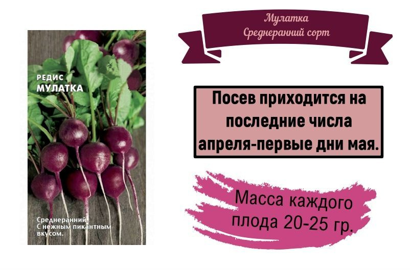 Набор семян, редис Мулатка, среднеранний сорт для открытого грунта. В наборе 5 упаковок. Корнеплоды округлые #1