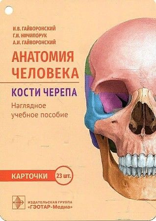 Анатомия человека. Кости черепа. Карточки | Гайворонский И. В.  #1
