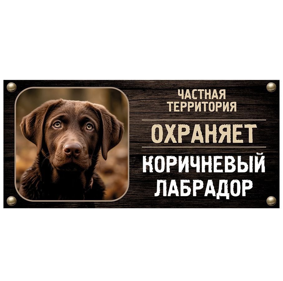 Табличка, Злая собака, Территорию охраняет Коричневый лабрадор, на металлической основе, 30см х 14 см, #1