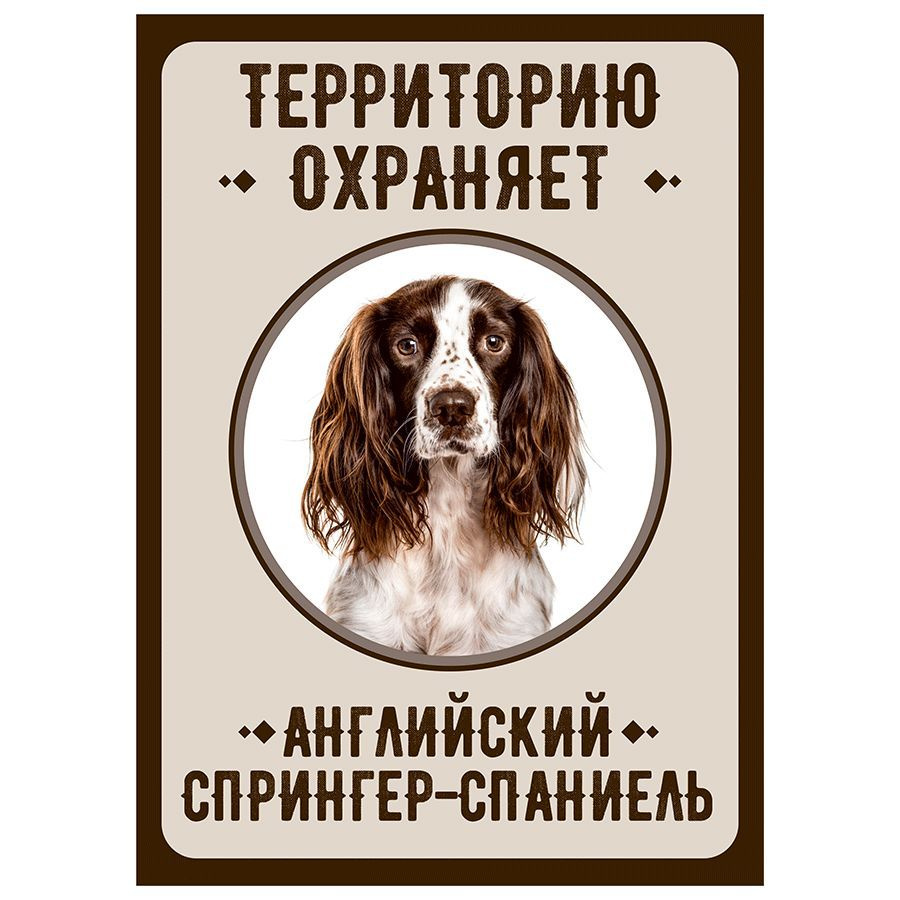 Табличка, Злая собака, Территорию охраняет Английский спрингер-спаниель, на металлической основе, 18см #1