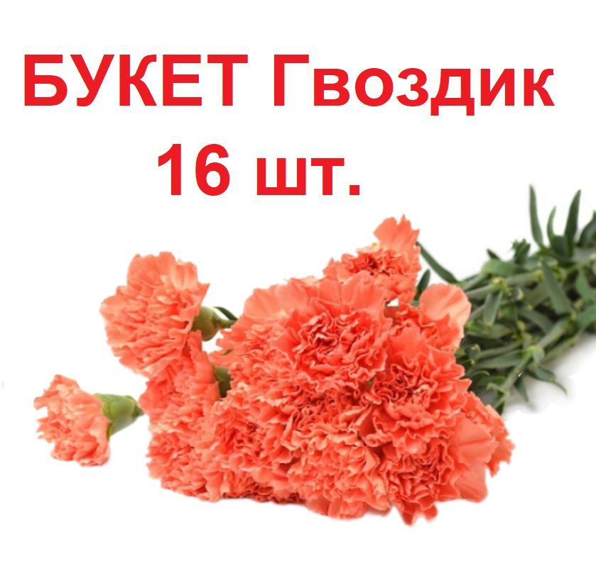 Джива Искусственные цветы,16шт #1