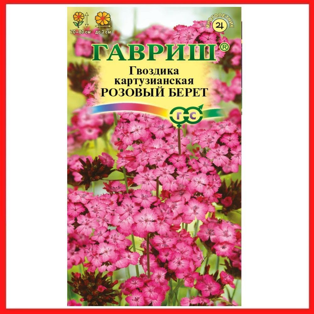 Семена Гвоздика картузианская "Розовый берет" 0,05 гр, многолетние цветы для дачи, сада и огорода, клумбы, #1