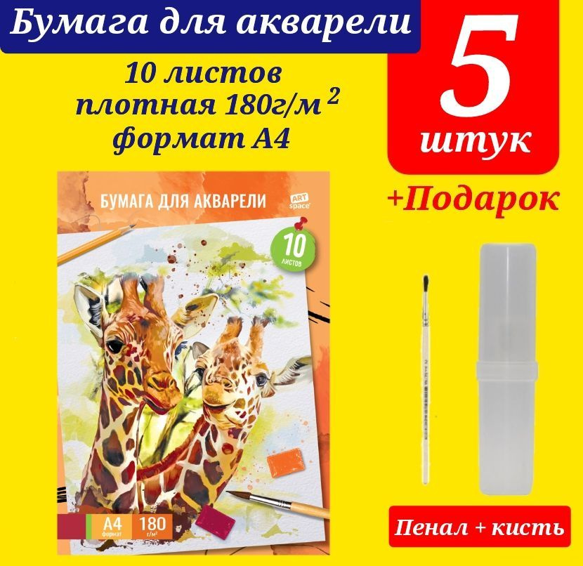 Папка для акварели А4, 10 листов ПЛОТНАЯ 180г/м ( 5 шт. ) + ПОДАРОК кисть белка 2 и пластиковый пенал #1