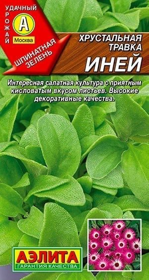 ХРУСТАЛЬНАЯ ТРАВКА Иней. Семена. Вес 0,02 гр. Шпинатная зелень. Аэлита  #1