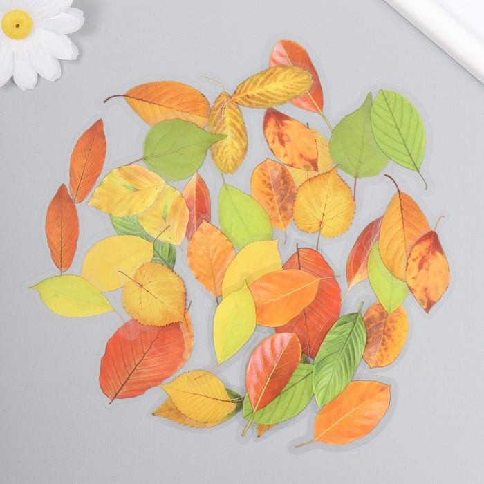 Наклейки для творчества пластик, Осенние листья, 0,3х8х14,8 см, 40 штук в наборе  #1