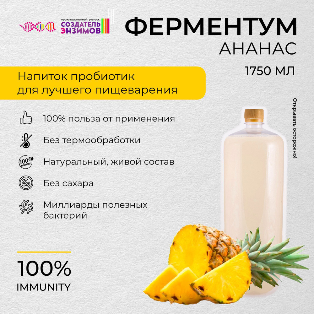 Ферментум Создатель Энзимов Ананас 1,75 л. ПЭТ Квас #1