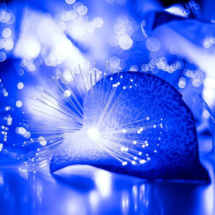 Декоративная подсветка Антуриум 20хLED 4000К 5м синий 500х9х10см  #1