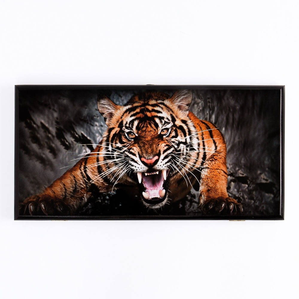 Нарды "Оскал тигра" 2 в 1, деревянная доска 50 x 50 см, с полем для игры в шашки  #1