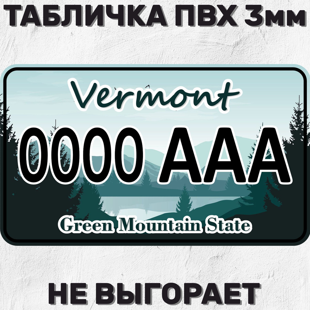 Декоративная табличка Сувенирный номер на машину / мотоцикл Vermont USA Вермонт США 29х17 см  #1