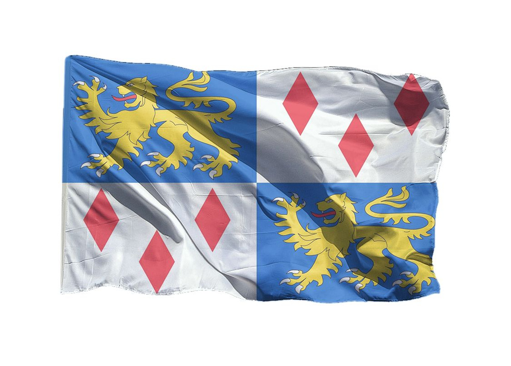 Флаг Королевства Ривия из Ведьмака 70х105 см на шёлке для ручного древка  #1