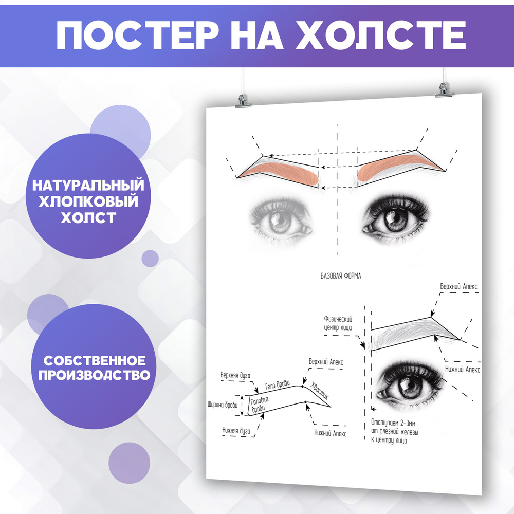 Постеры для интерьера на стену - Брови Архитектура Для бровиста (1) 60х80 см  #1