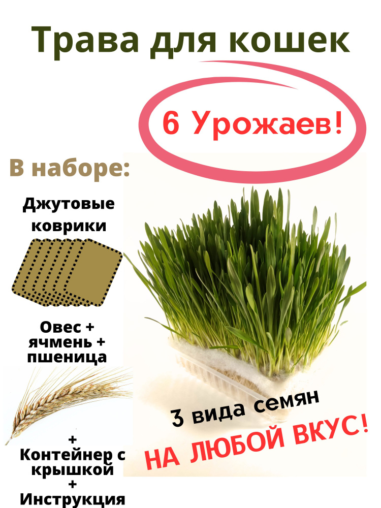 Трава для кошек.Набор для выращивания травы 3 вида семян  #1