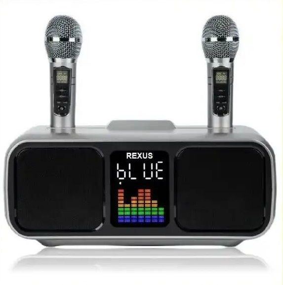 REXUS SD-318 (Grey) - беспроводная караоке система, 2 радиомикрофона, USB, Bluetooth, Optical, Coaxial #1