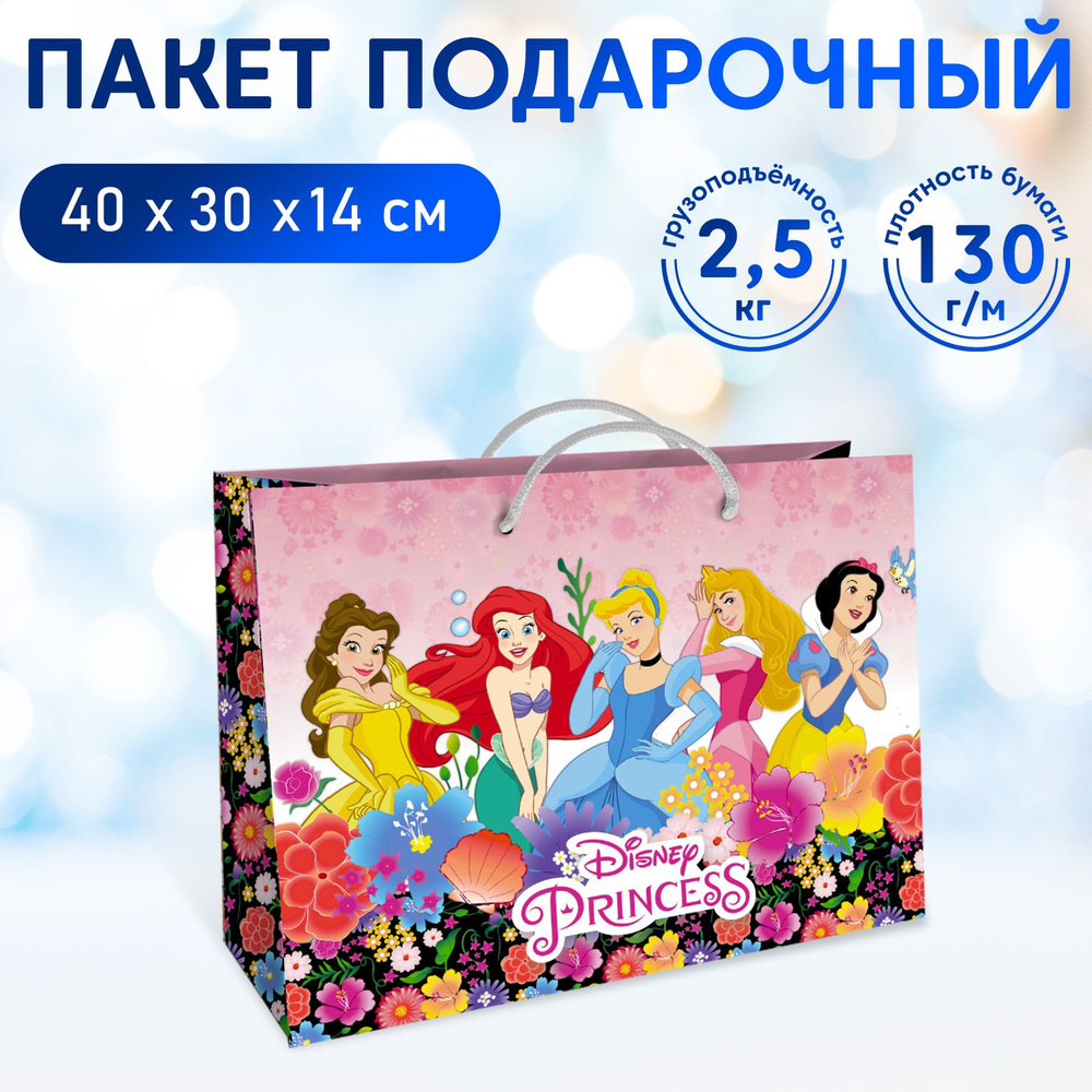 Пакет подарочный ND Play / Disney Princess-5 (Принцессы Дисней), 400*300*140 мм, бумажный, 299880  #1