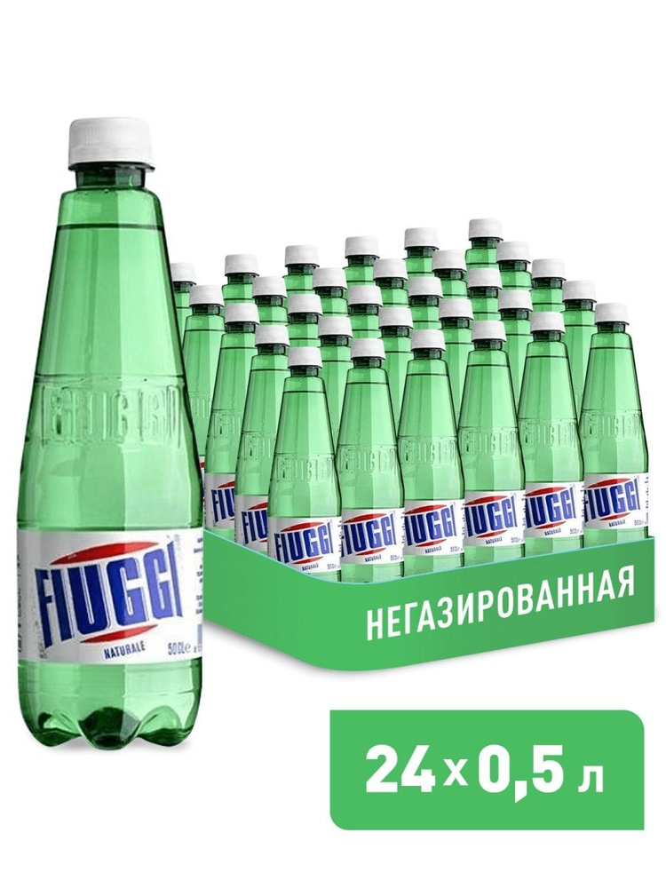 FIUGGI Вода Минеральная Негазированная 500мл. 24шт #1