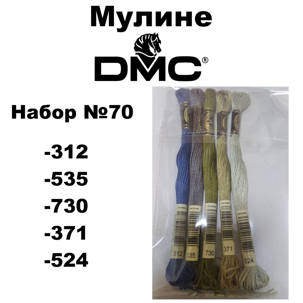 Нитки мулине DMC Embroidery для вышивания / Набор №70 / цвета 312, 535, 730, 371, 524  #1