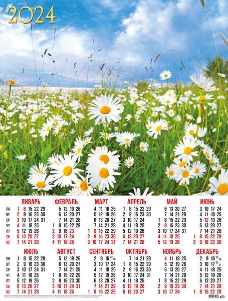 Листовой календарь на 2024 год А2 Природа. Ромашки на лугу  #1