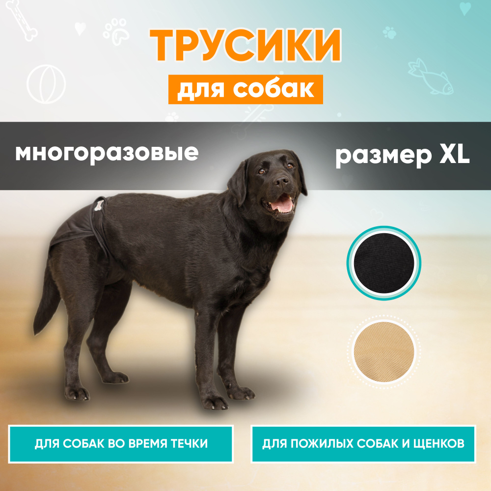 Трусы для собак многоразовые во время течки, памперсы для собак Mr Dog для  девочек XL - купить с доставкой по выгодным ценам в интернет-магазине OZON  (257367430)