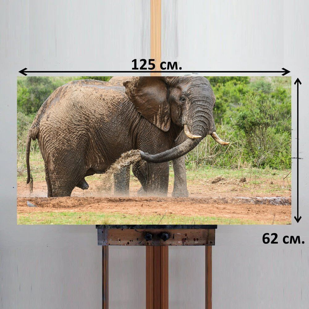 LotsPrints Картина "Слон, дикая природа, природа 87", 125  х 62 см #1