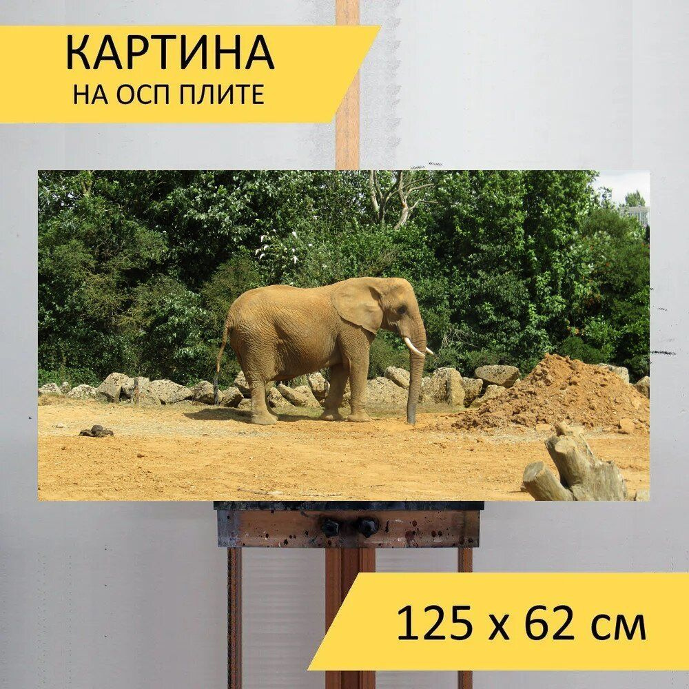 LotsPrints Картина "Слон, пыльный, зоопарк 07", 125  х 62 см #1