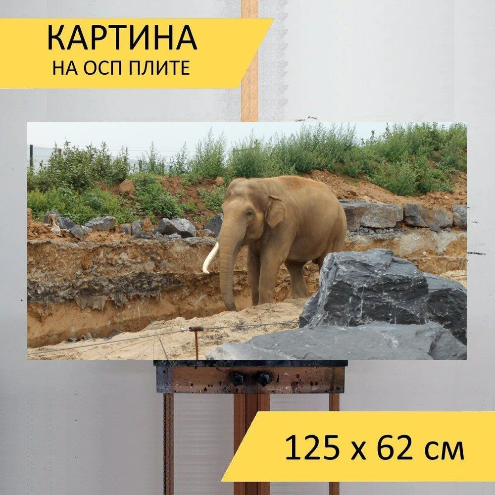 LotsPrints Картина "Слон, ствол, млекопитающее 15", 125  х 62 см #1