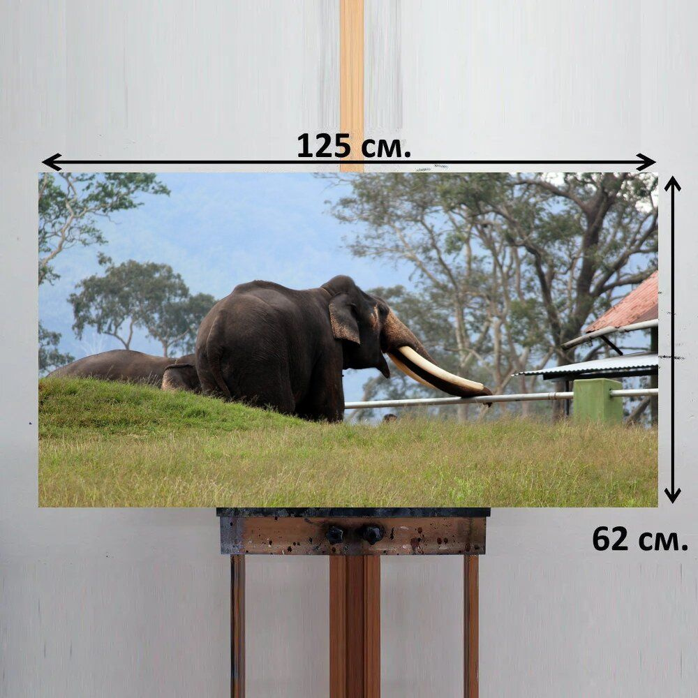 LotsPrints Картина "Слон, дикая природа, дикий 68", 125  х 62 см #1