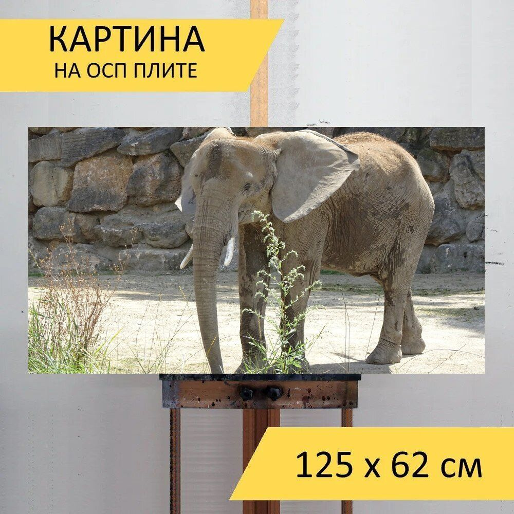 LotsPrints Картина "Слон, зоопарк, тиргартен шенбрунн 59", 125 х 62 см  #1