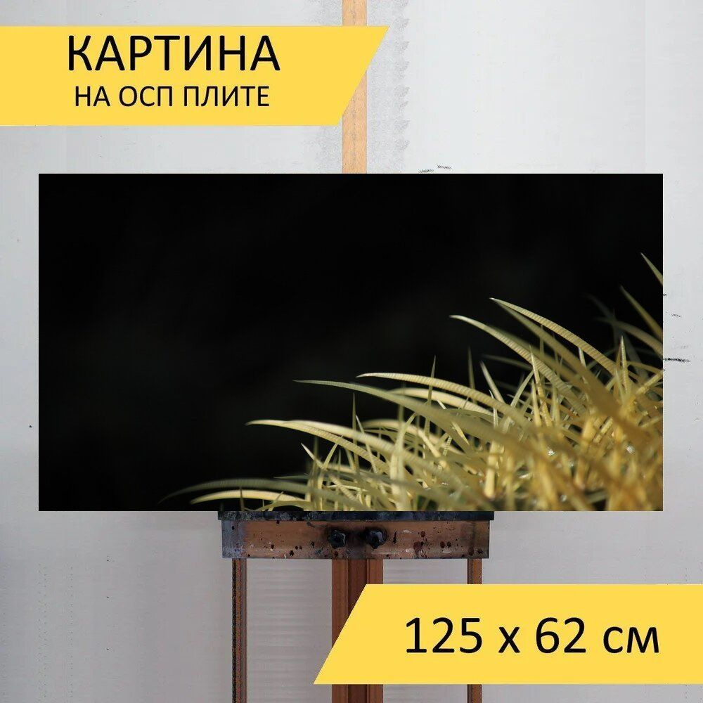 LotsPrints Картина "Кактус, шипы, пустыня 59", 125  х 62 см #1