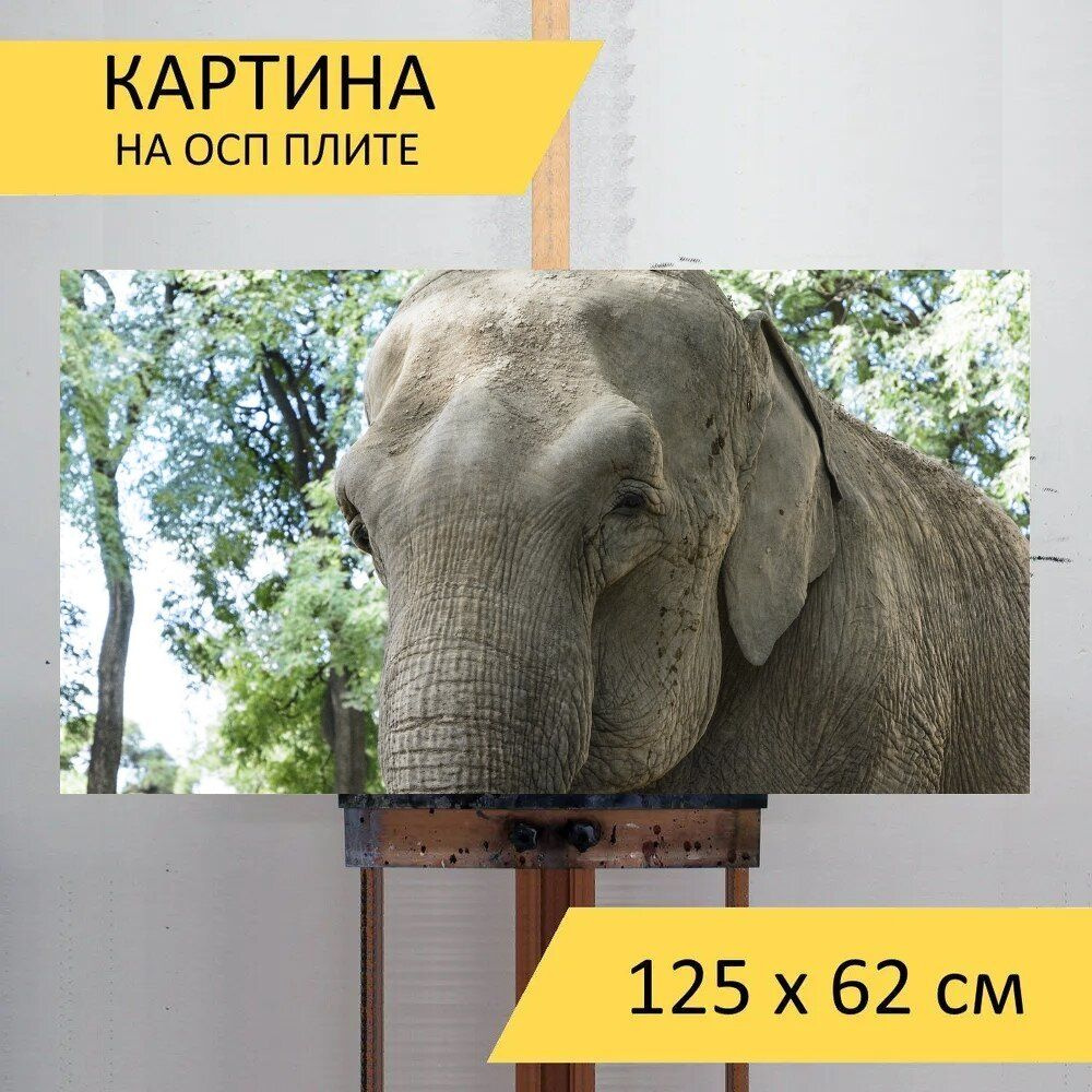 LotsPrints Картина "Слон, природа, африка 15", 125  х 62 см #1