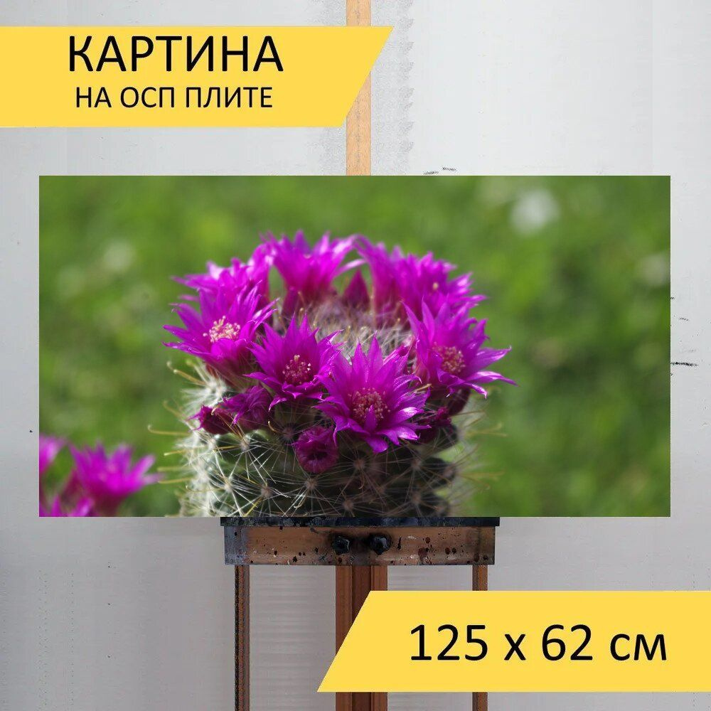 LotsPrints Картина "Кактус, цвести, шпора 06", 125  х 62 см #1