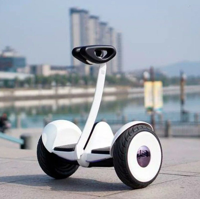 Segway Ninebot Plus