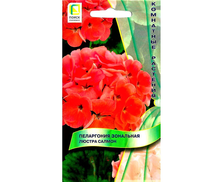 Королевская Пеларгония Семена Купить В Интернет