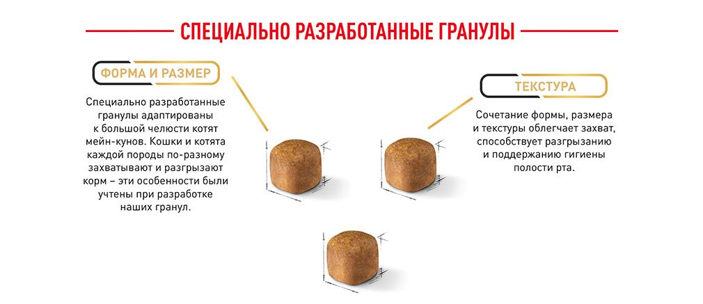 Текстовое описание изображения