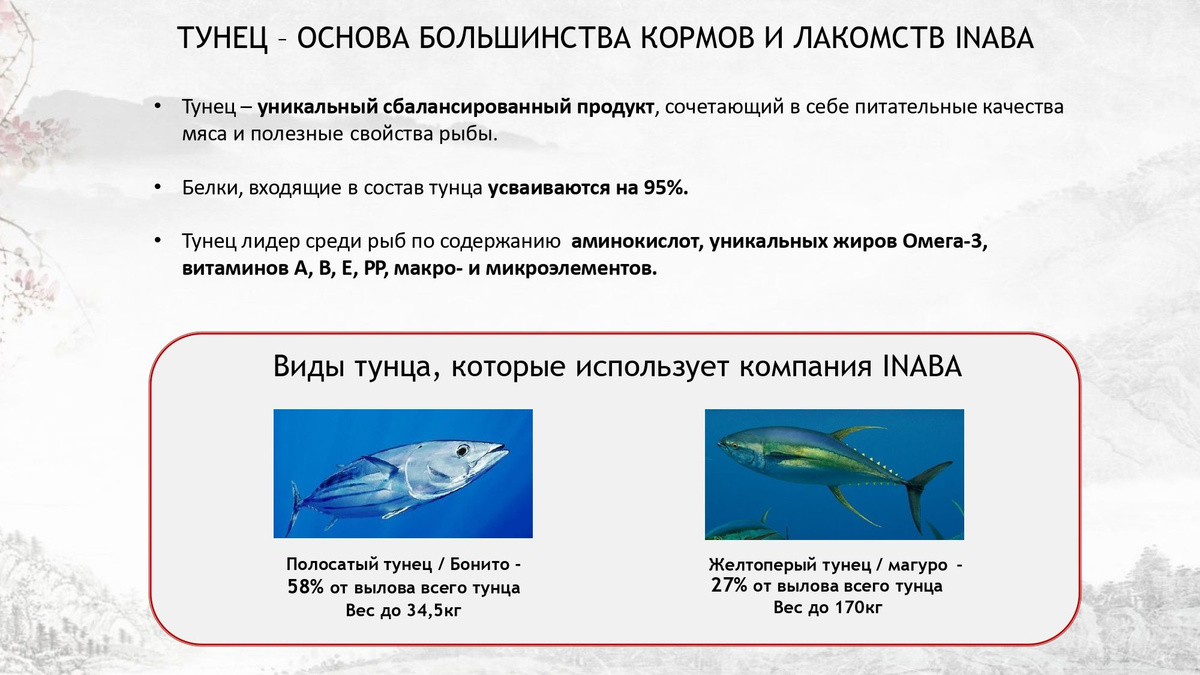 Текстовое описание изображения