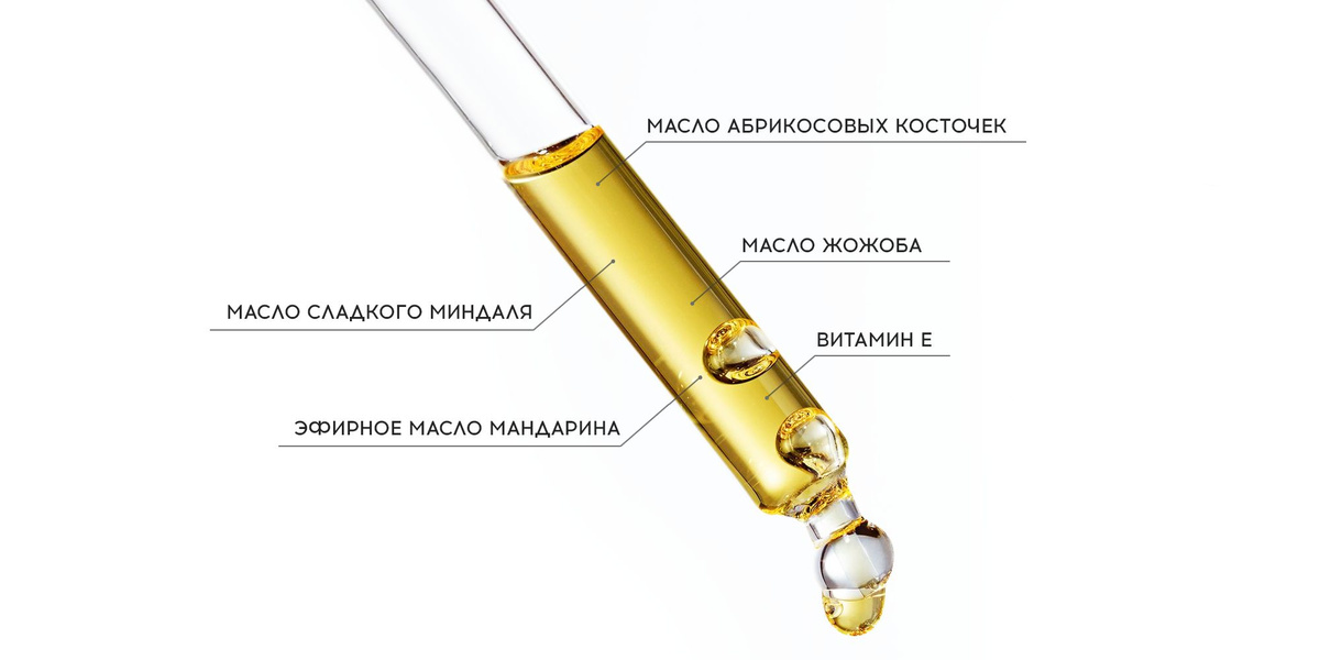 Текстовое описание изображения