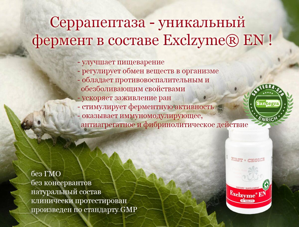 Exclzyme® EN (Экслезайм Е Эн) - комплекс растительных и животных ферментов для переваривания пищи