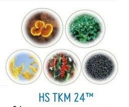 Растительные компоненты комплекса HS TKM 24 оздоравливают и питают кожу головы за счет создания теплового эффекта. 