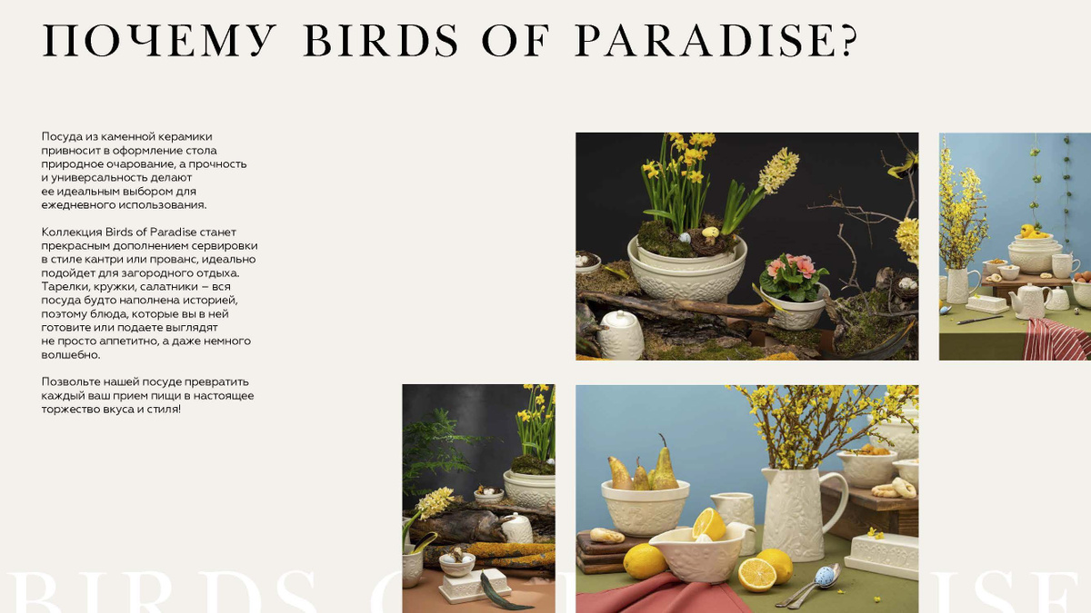 Введите в поиске на Ozon «Birds of Paradise», и вы увидите весь ассортимент коллекции!