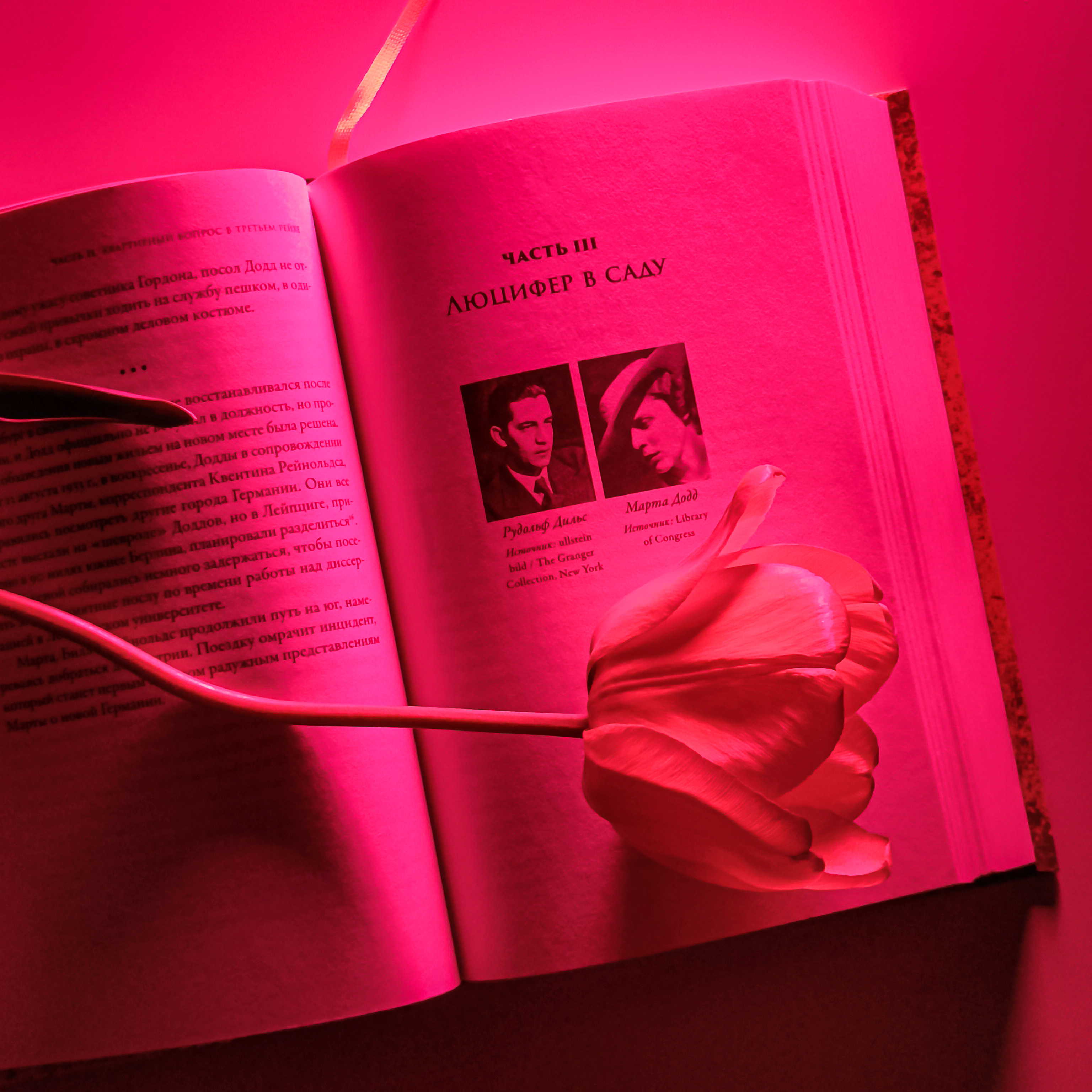 В саду чудовищ: Любовь и террор в гитлеровском Берлине | In the Garden of Beasts: Love and Terror in Nazi Berlin - Ozon image 7