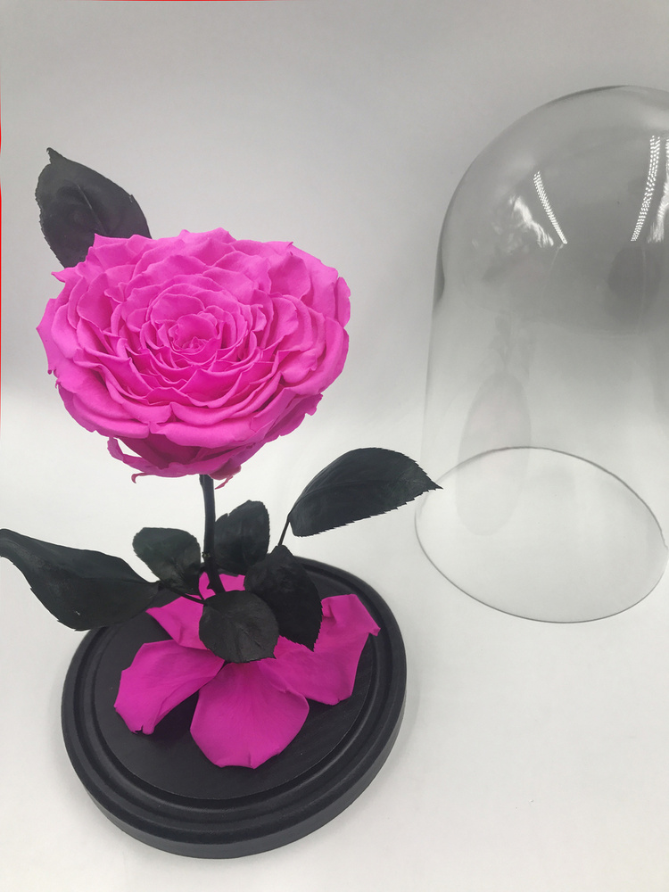 Живая Роза в колбе 27 см "Deluxe"/Стабилизированные цветы в стекле/сорт Флорибунда  #1