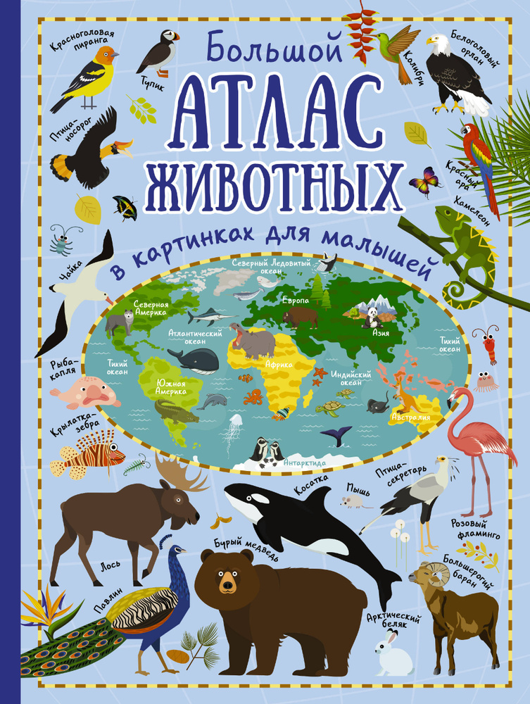 Большой атлас животных в картинках для малышей | Дорошенко Юлия Игоревна  #1