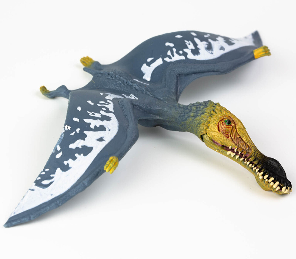 Фигурка животного Derri Animals Динозавр Птерозавр, для детей, игрушка коллекционная декоративная, 83155, #1