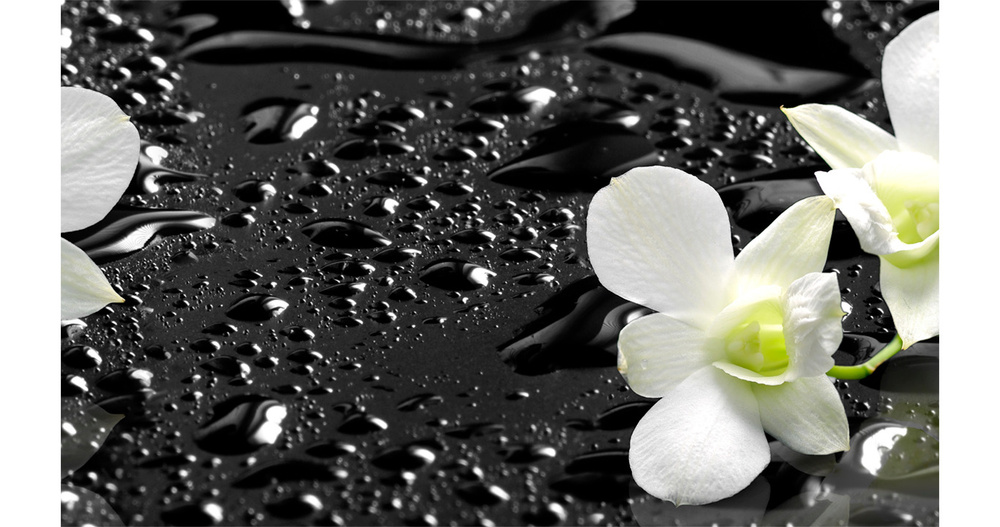 Кухонный фартук "Белые орхидеи 1012" 1000*600мм, АБС пластик, фотопечать  #1
