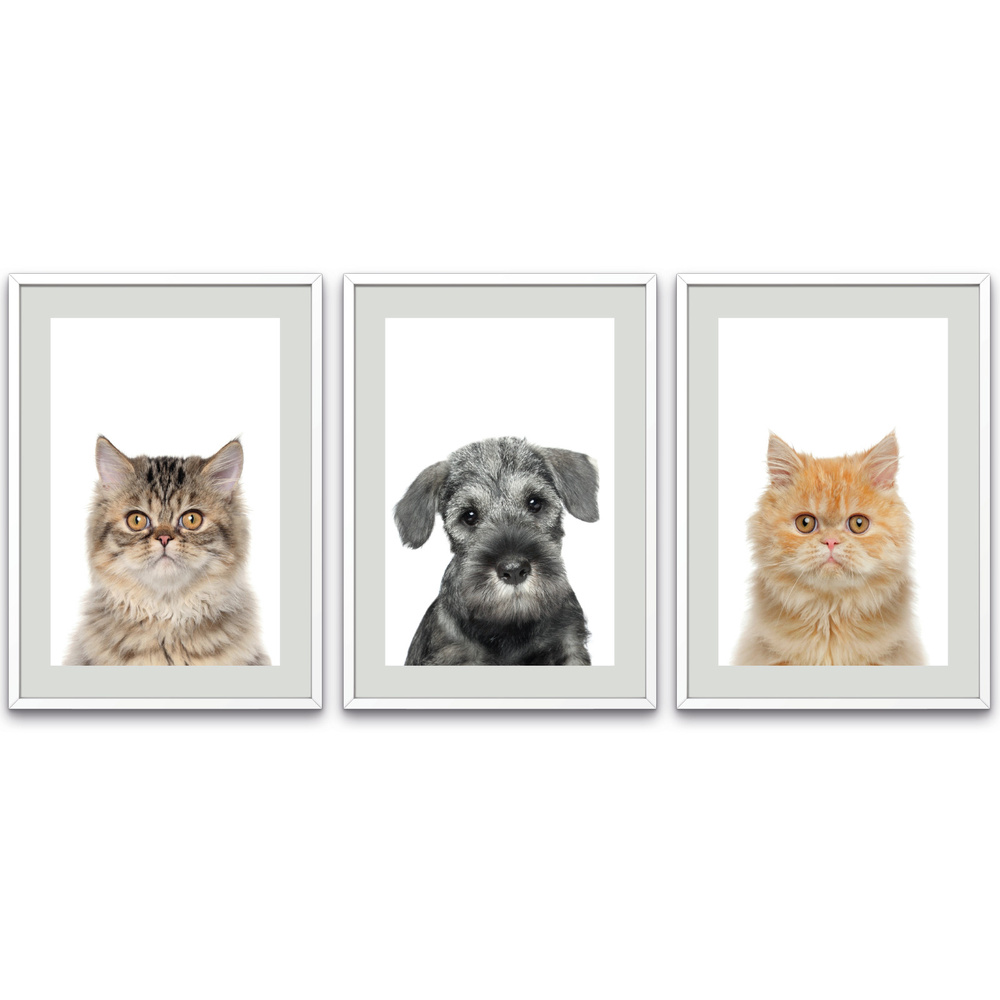 Набор интерьерных постеров "Собака и кошки", 3 шт, 21х30 см, без рамок / интерьерные постеры  #1