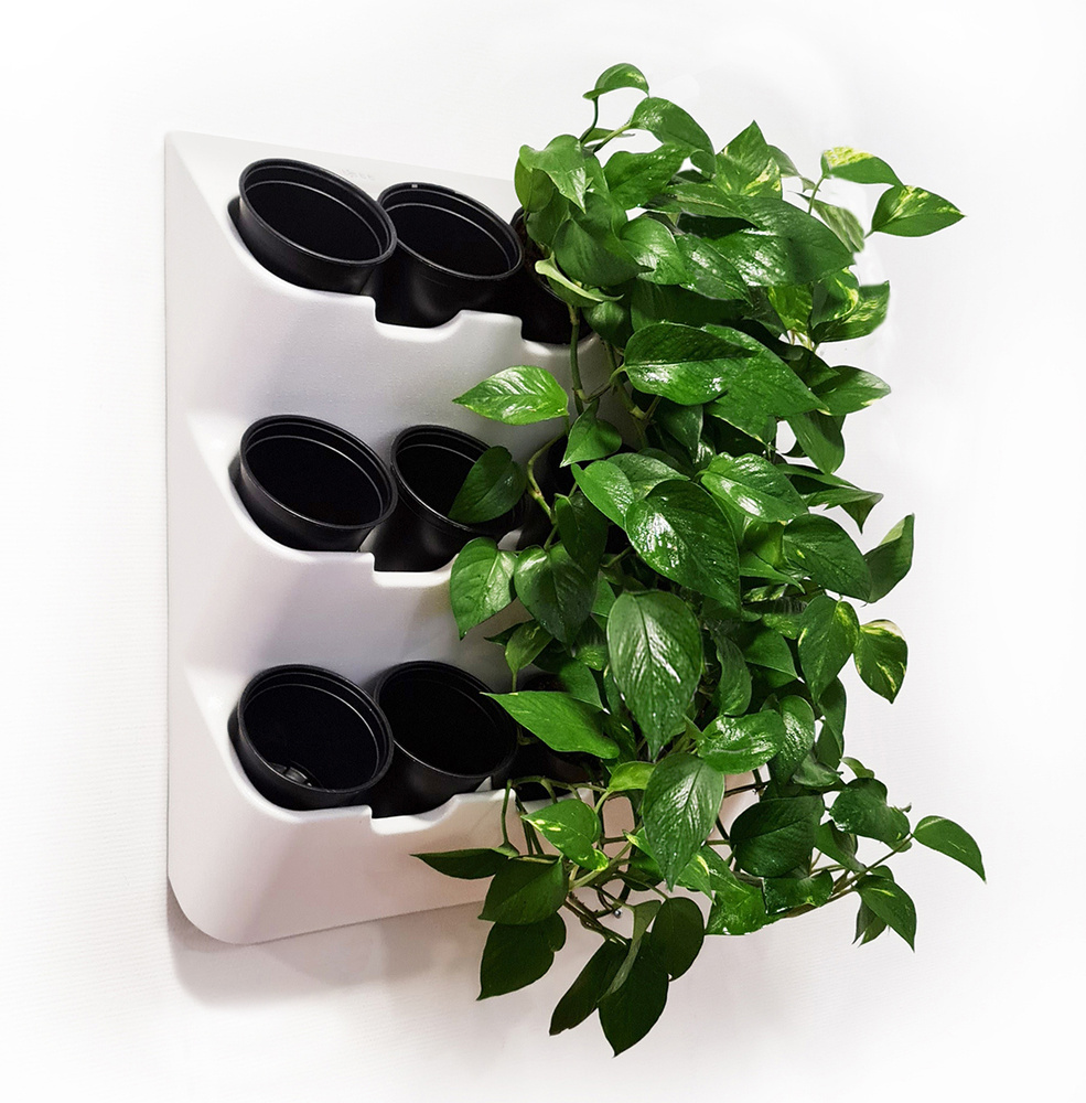 Фитомодуль "BOXSAND 12" (60х65 см) вместимость 12 растений, цвет белый в комплекте с горшками  #1