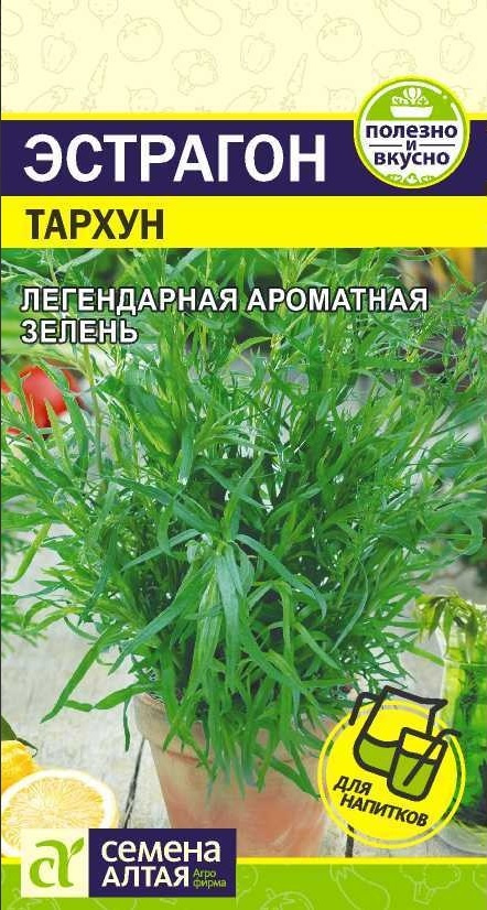 Эстрагон Тархун (Семена Алтая), 0,05 г. Легендарная зелень!  #1