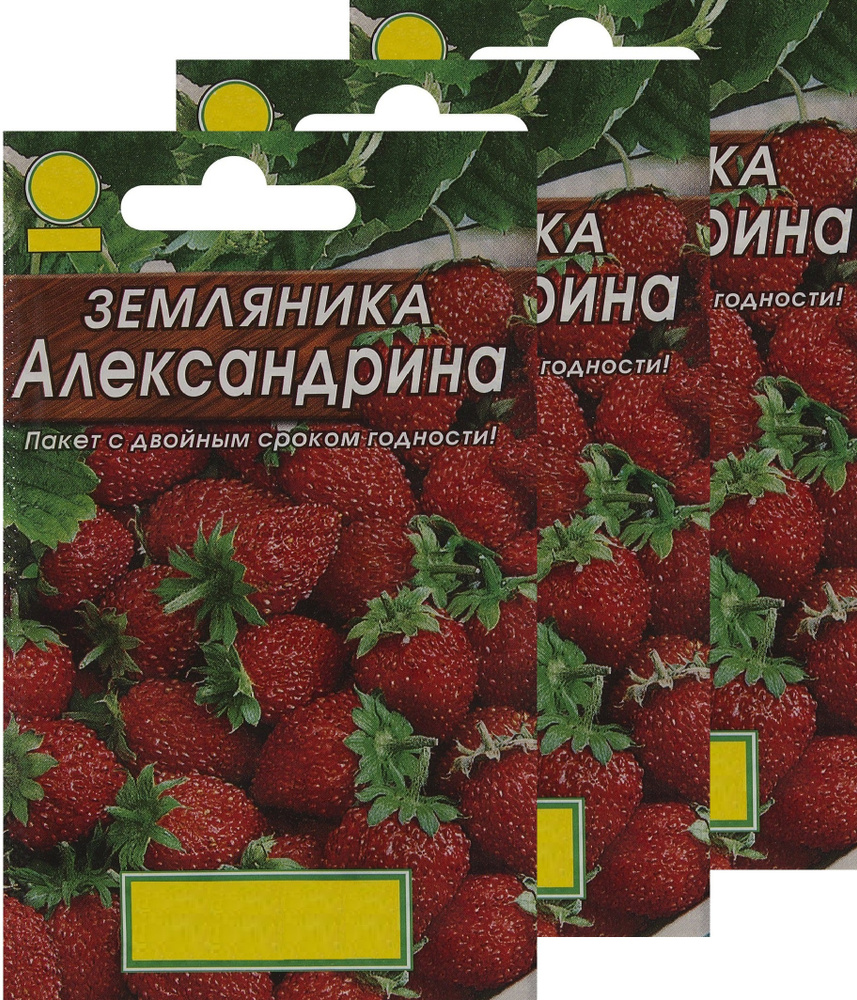 Земляника "Александрина" семена (3 упаковки), неприхотливый сорт, плодоносящий в течение нескольких лет #1