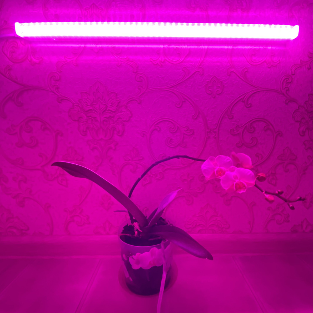 Фитосветильник для растений Ultraflash LWL-2014-04CL 9Вт 570мм #1