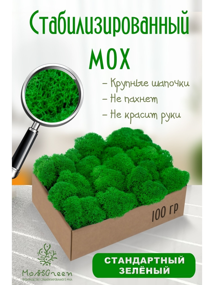 Moss Green Стабилизированный мох Мох, 100 гр #1